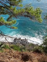 maratea8