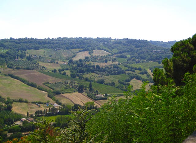 Vacanze-Italiane-seconda-tappa-Toscana-Arezzo-Tenuta-Lupinari