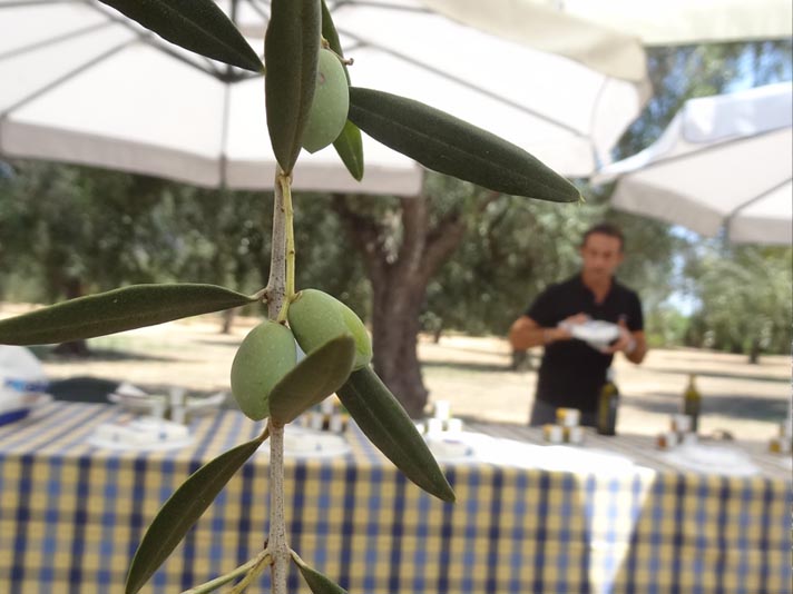 facciamo-una-degustazione-olio-oliva-learn-proper-way-taste-olive-oil