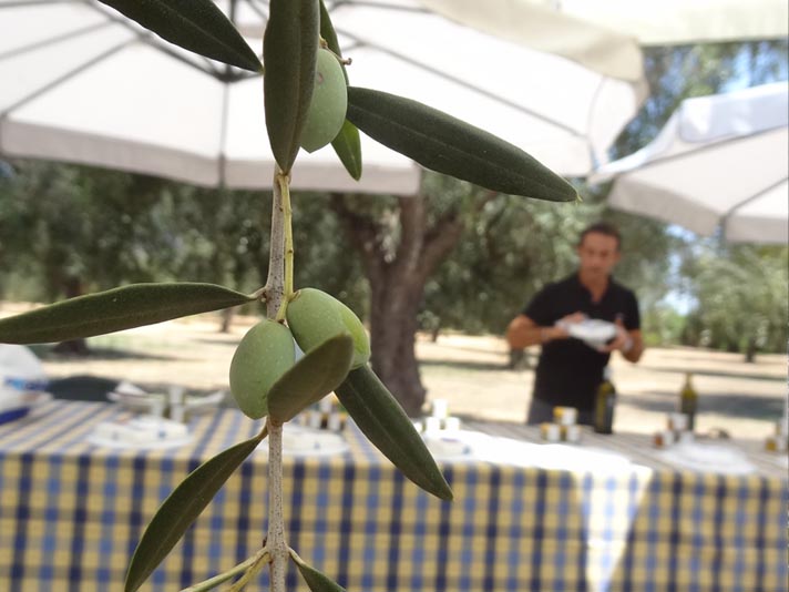 2 facciamo-una-degustazione-olio-oliva-learn-proper-way-taste-olive-oil