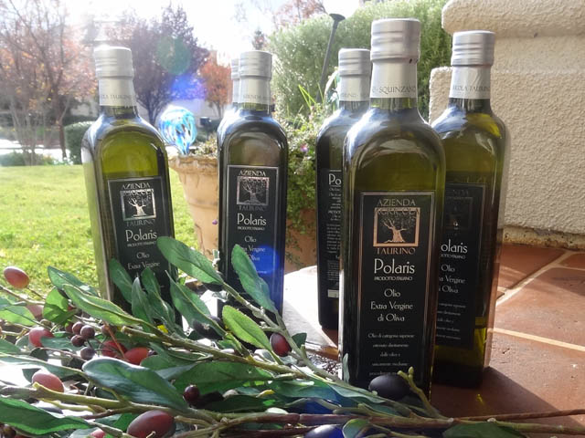 olio-olivo-azienda-agricolo-taurino-puglia-italia