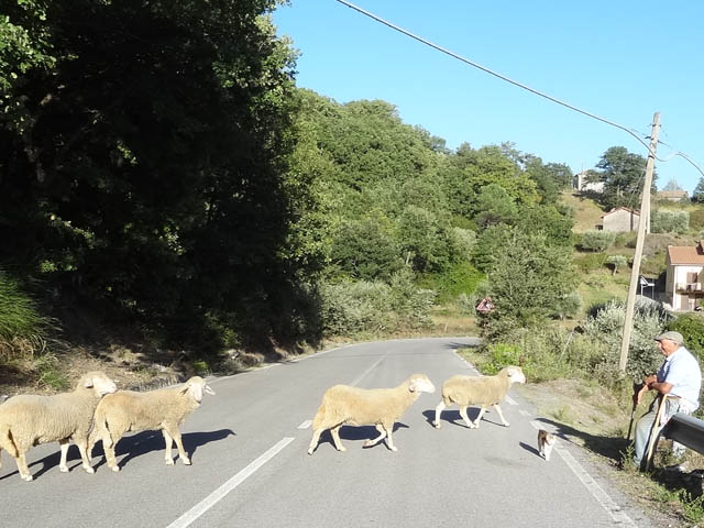 cibo-kilometro-zero-food-zero-miles-Episcopia-Basilicata