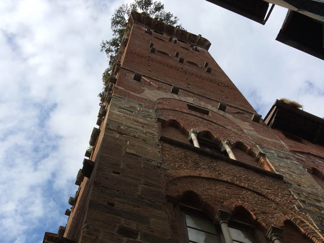Lucca_StudentessaMatta6