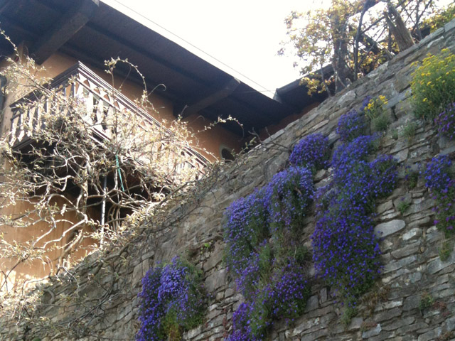 Elena_Bergamo_Passeggiata_StudentessaMatta1