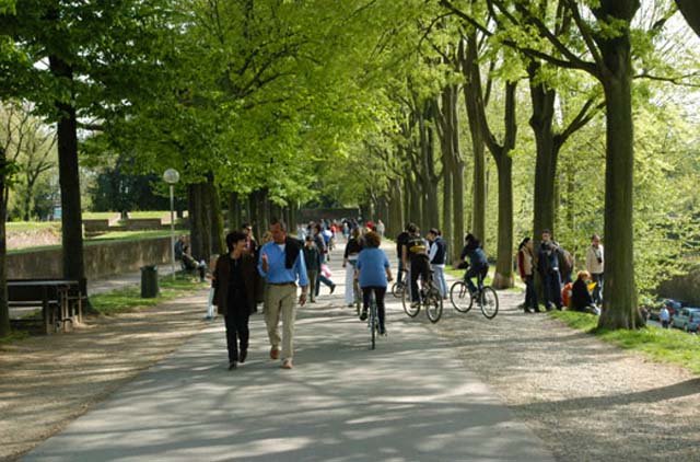 biking-lucca-wall-tuscany