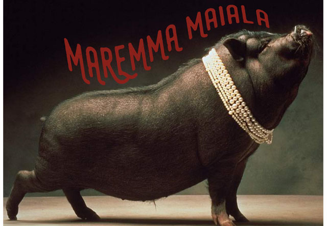 maremma-maiale-swear-like-italian-tuscan-expression