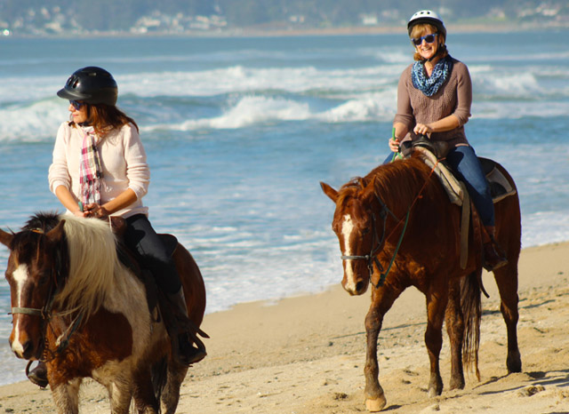 andare-cavallo-riding-horse-beach-useful-horse-lingo