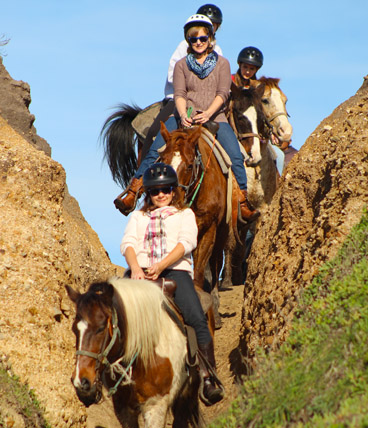 andare-cavallo-riding-horse-beach-useful-horse-lingo