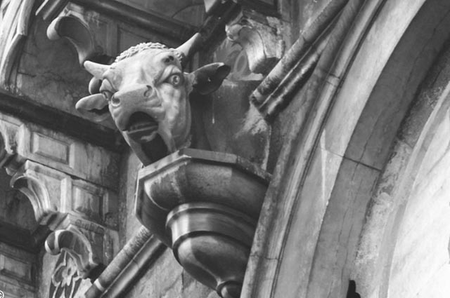 Ox-heads and betrayed husbands… what have they got to do with Florence’s Duomo?? Youtube Video