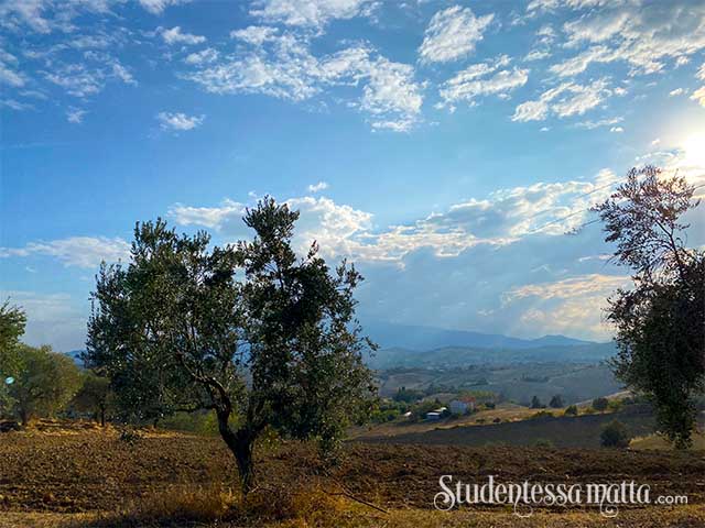 ascoli-discover-lemarche-learn-Italian-Immersion-september-2022-StudentessaMatta