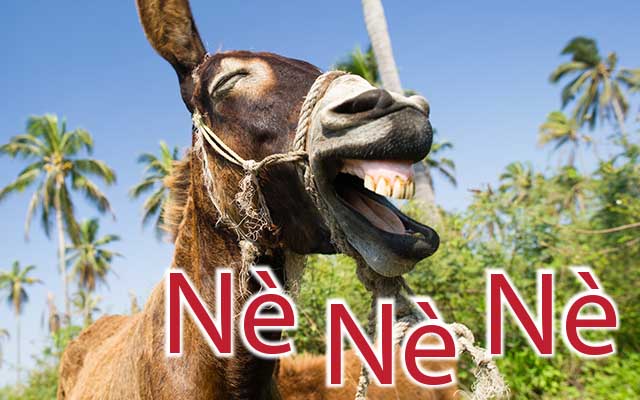 How to use the Italian word Ne, Nè, Né, Ne—YouTube Video