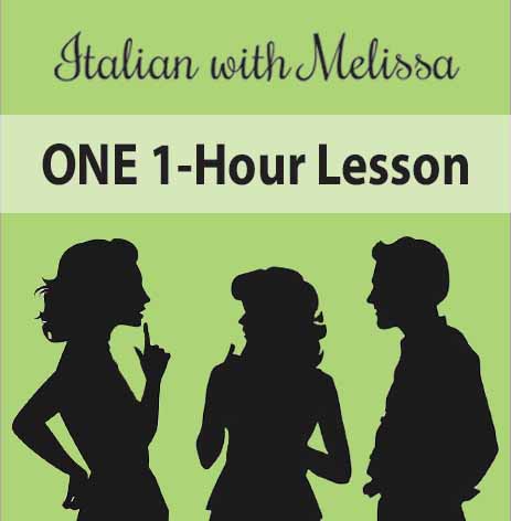 ONE 1-hour Conversation or Language Lesson
