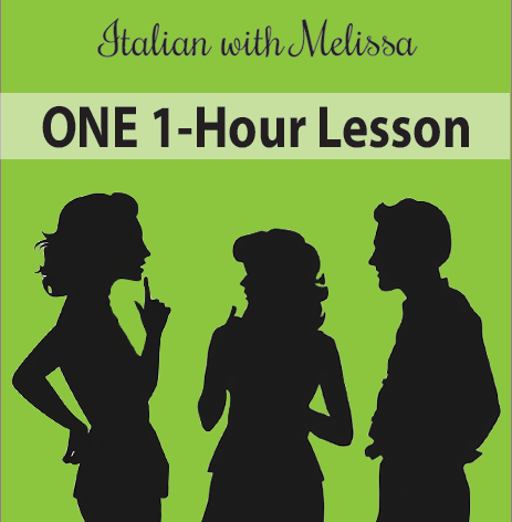 ONE 1-hour Conversation or Language Lesson