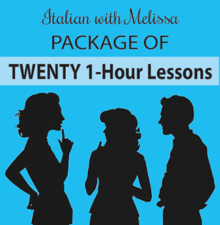 Twenty 1-hour Conversation or Language Lessons