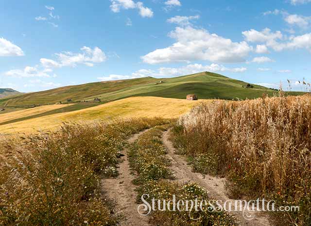 matta-2023-spring-book-club-begins-march-Io-non-ho-paura-Niccolo-Ammaniti-read-italian-novel