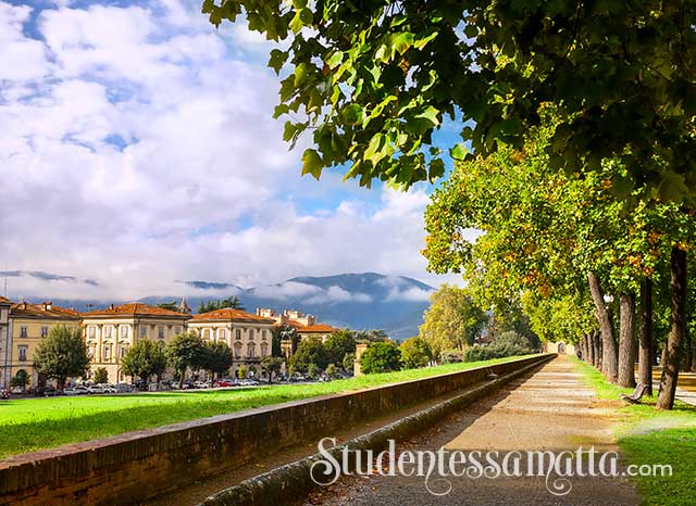 studentessa-matta-lucca-italian-school-2023-language-immersion-program-tuscany-walled-city-Improve-skills-travel-small-group-learners