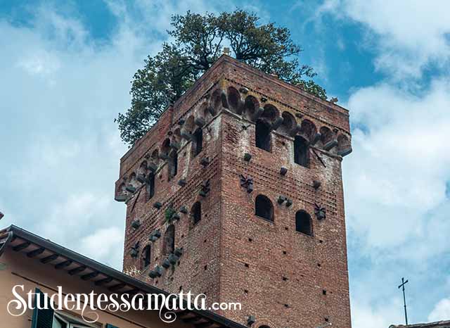 guinigi-tower-lucca-tree-top-adventures-legends-garfagnana-mountains-medieval-lucchese-history