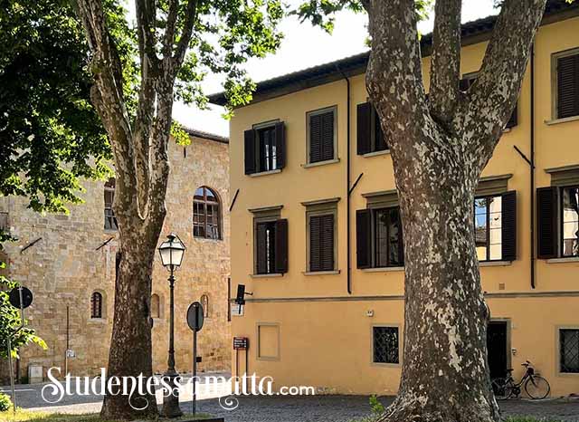 Sansepolcro-nella-terra-di-piero-do-you-know-the-way-to-sansepolcro-Piero-della-Francesca-Rent-Apartment-dream-vacation-heart-Tuscany