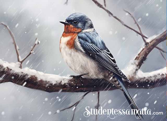Un Rondine non fa la primavera: How a Swallow Teaches Us Patience