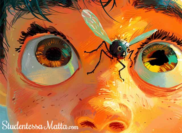 What happens when a fly jumps on your nose! How Italian Idioms Turn Language Learning Frustration into Amusement